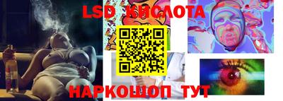 гидра Будённовск
