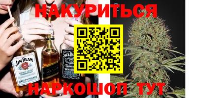 гидра Будённовск