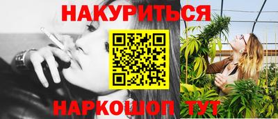 гидра Будённовск
