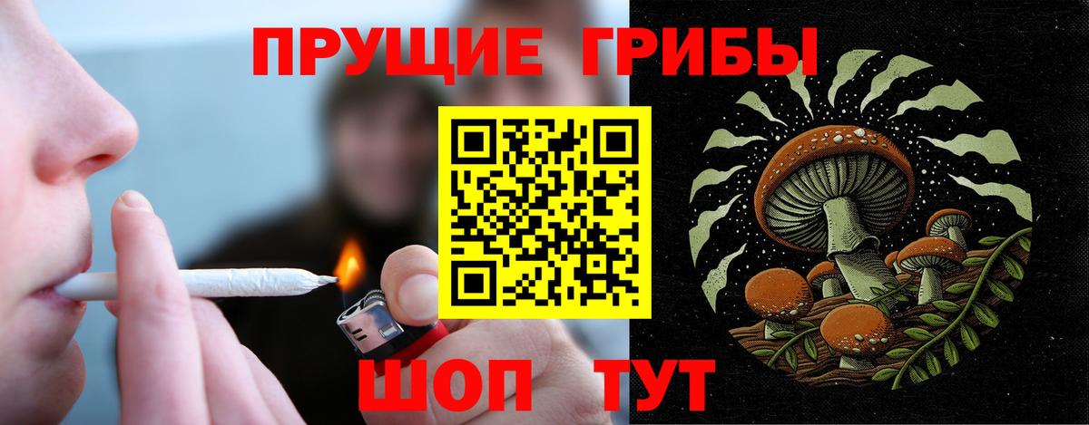 Муром  Галлюциногенные грибы GOLDEN TEACHER  Вход с VPN 