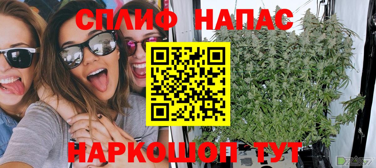 Бошки марихуана тримм  Шишки марихуана марихуана  Канабис план  Бошки Шишки THC 21%  Муром  Вход с VPN 